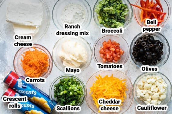 veggie pizza ingredients culinary hill 568x378